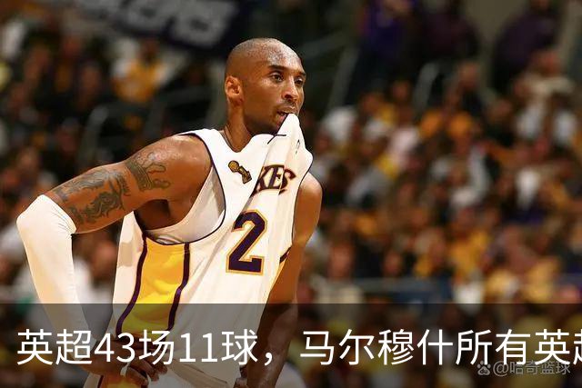 英超43场11球，马尔穆什所有英超进球都在主场打进
