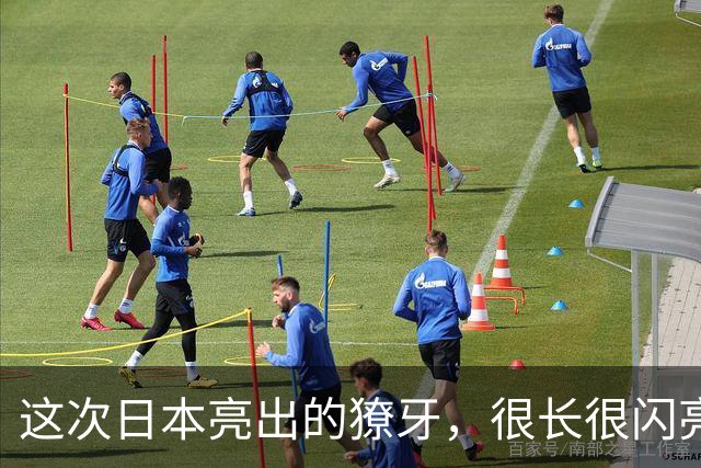 这次日本亮出的獠牙，很长很闪亮
